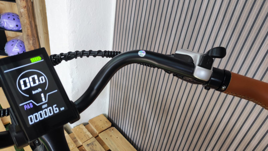 City Bike Josephine 26