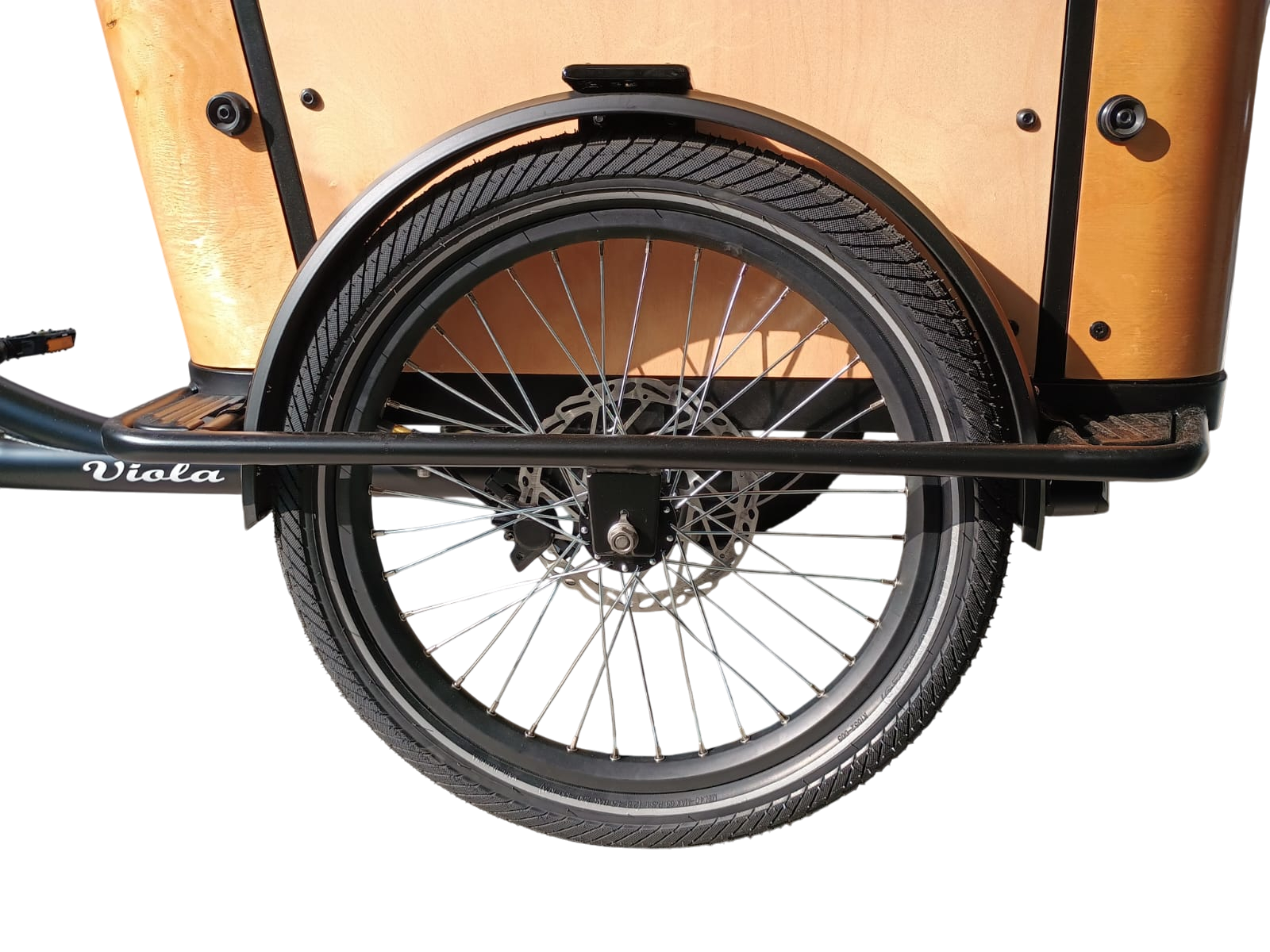 Cargo Bike CURVY Motore Post.