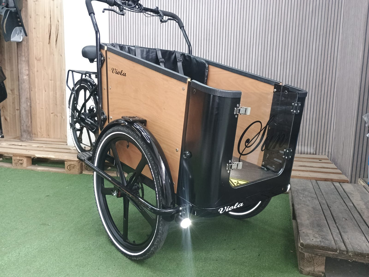 Cargo Bike SUN - 2 Posti - Usata