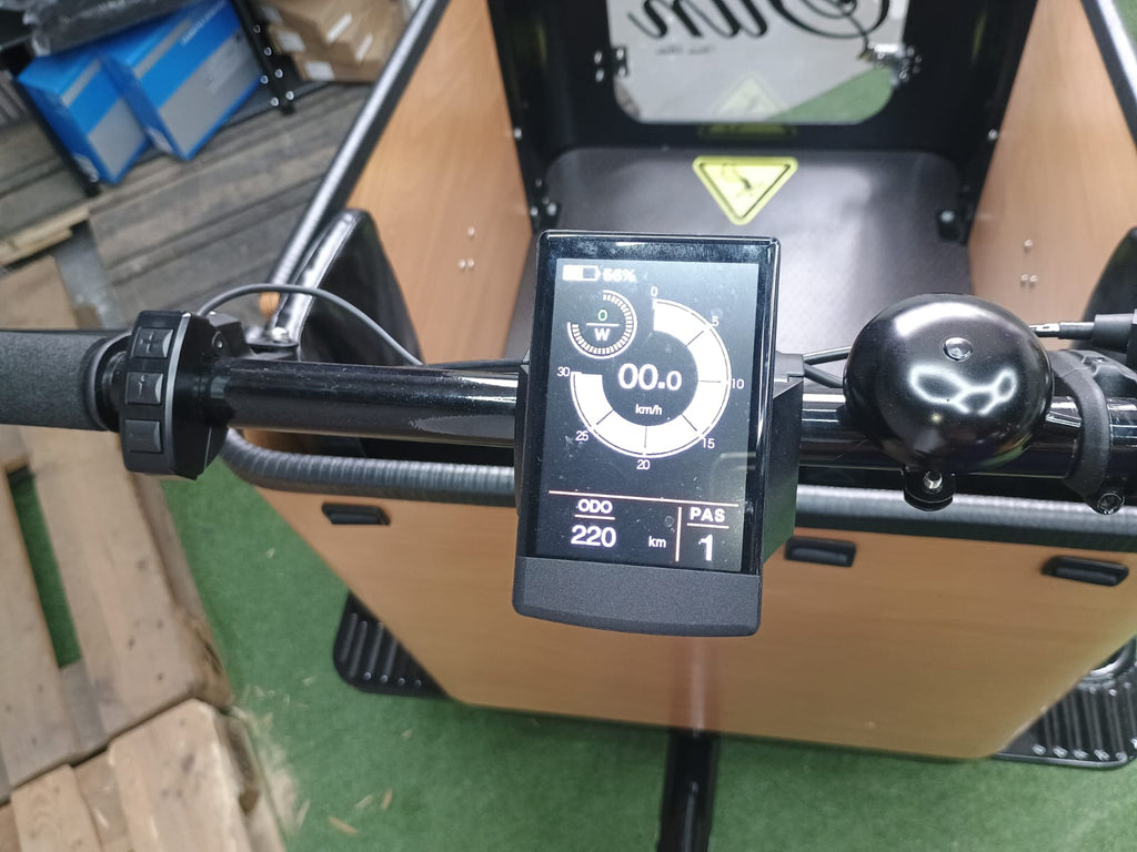 Cargo Bike SUN - 2 Posti - Usata