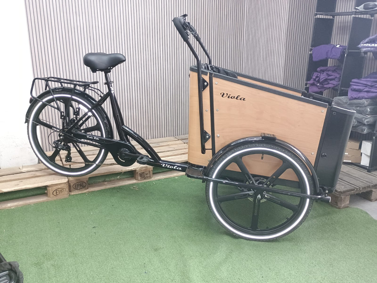 Cargo Bike SUN - 2 Posti - Usata