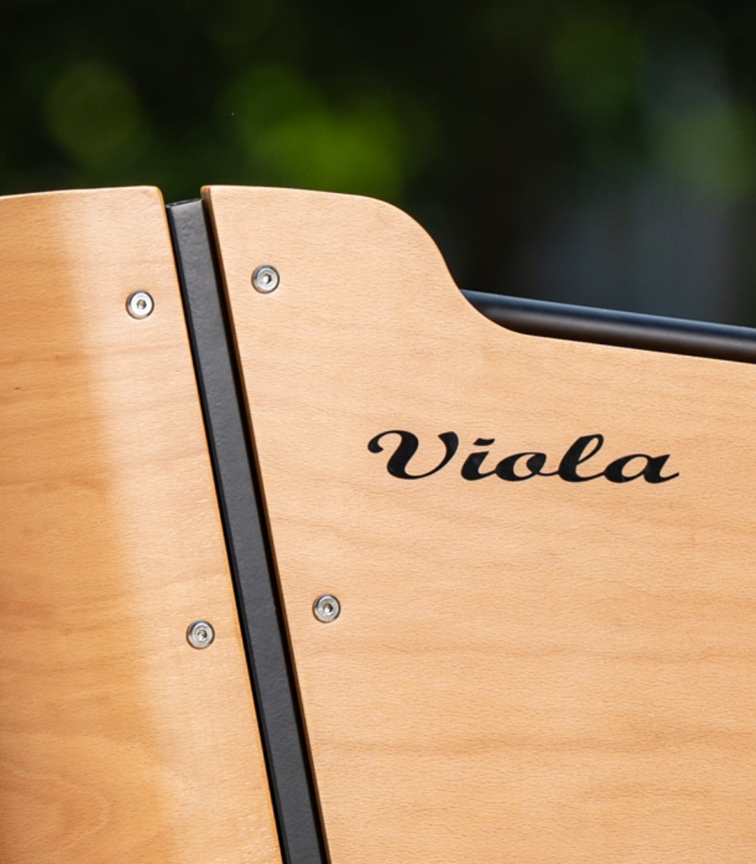 Set 10 Pz per fissaggio cassone Cargo Curvy